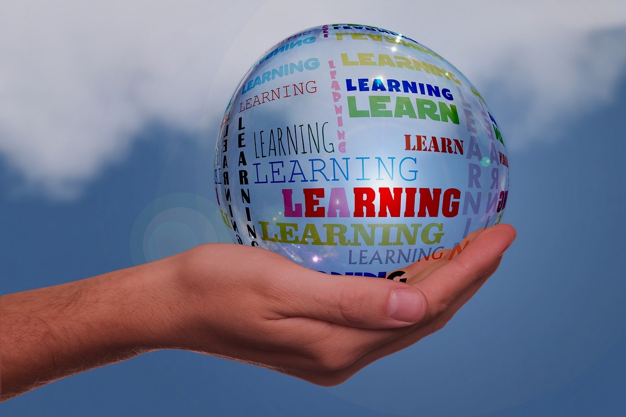 Why Is This a Good Time to Pursue Higher Education in the US?