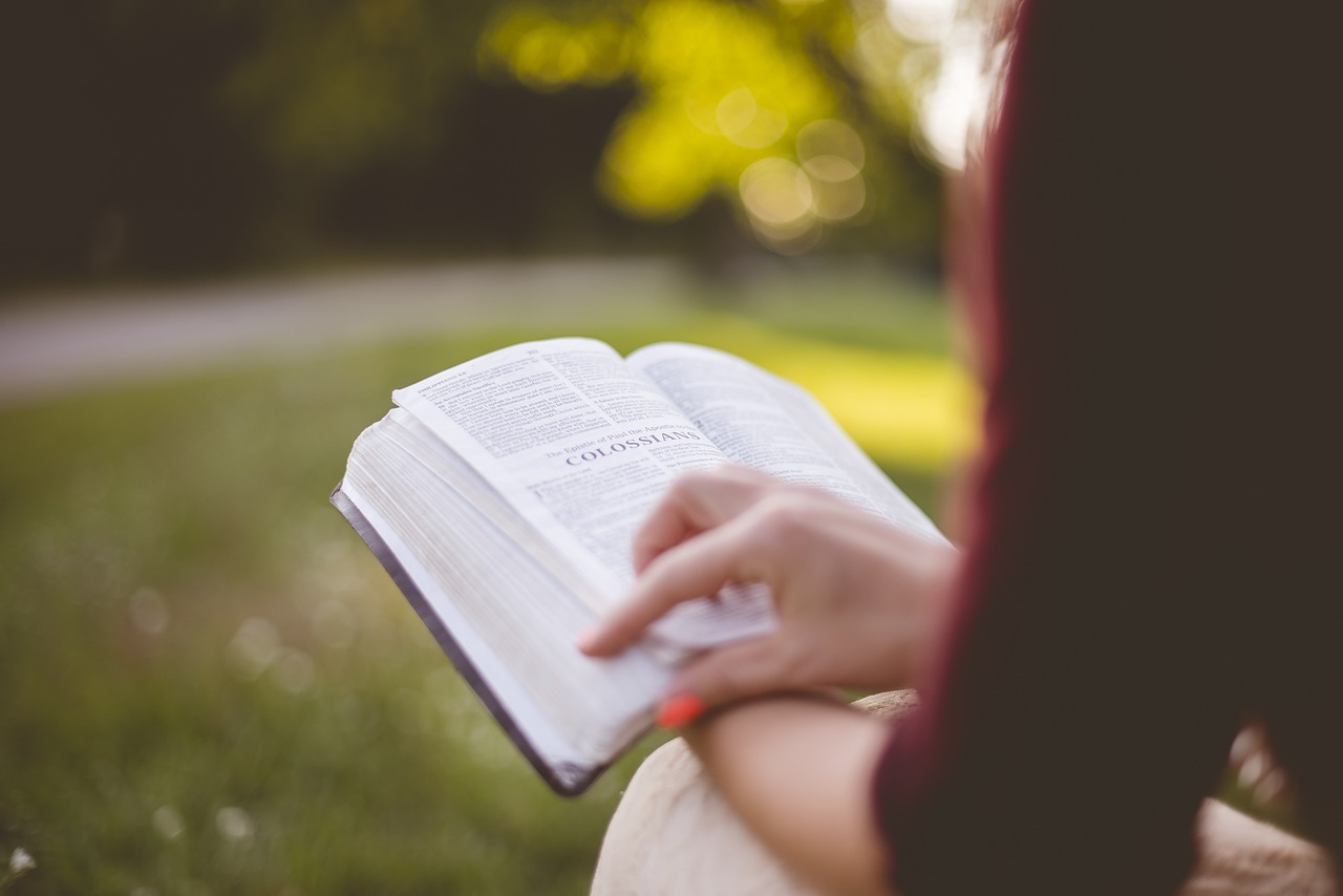 Studying in the USA as a Foreign Student: A Guide to Higher Education